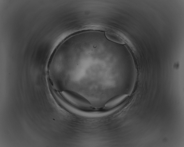 X0000090631283200707171439
