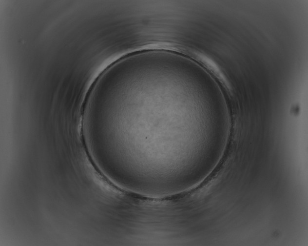 X0000090631284200707171439