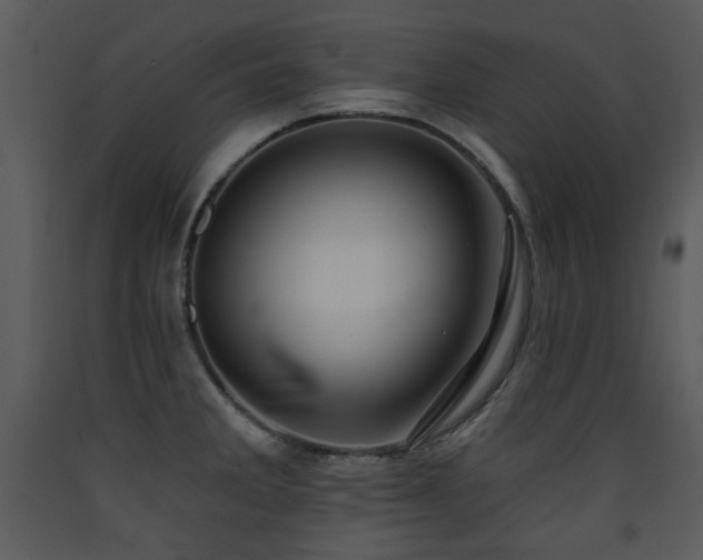 X0000090631285200707171439