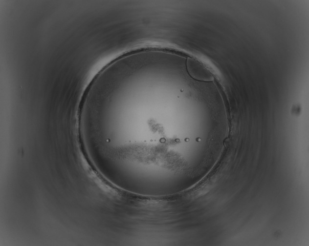 X0000090631287200707171439