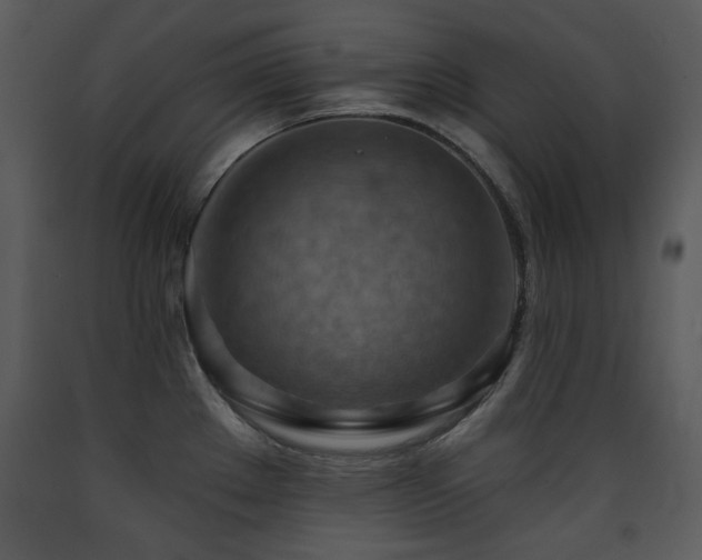 X0000090631289200707171439