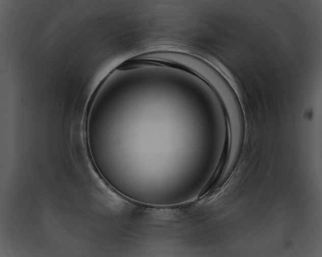 X0000090631293200707171439