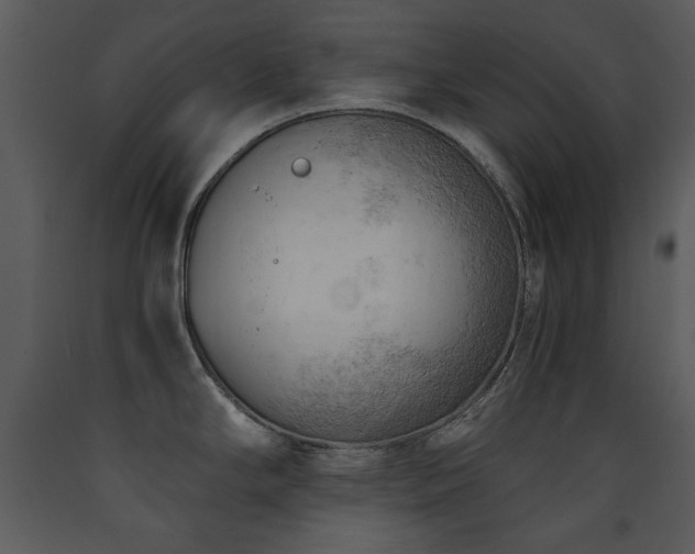 X0000090631294200707171439