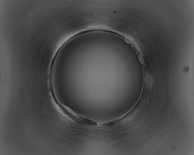 X0000090631295200707171439