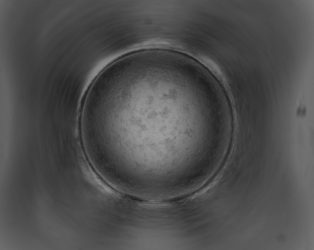 X0000090631296200707171439