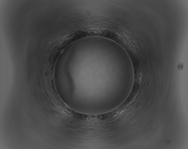 X0000090631297200707171438