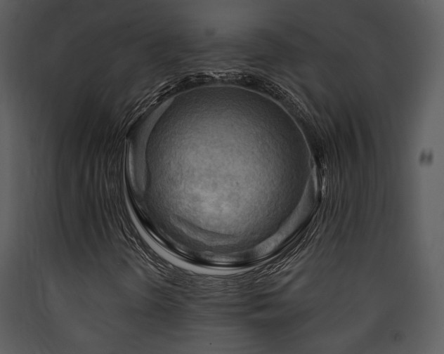 X0000090631298200707171438