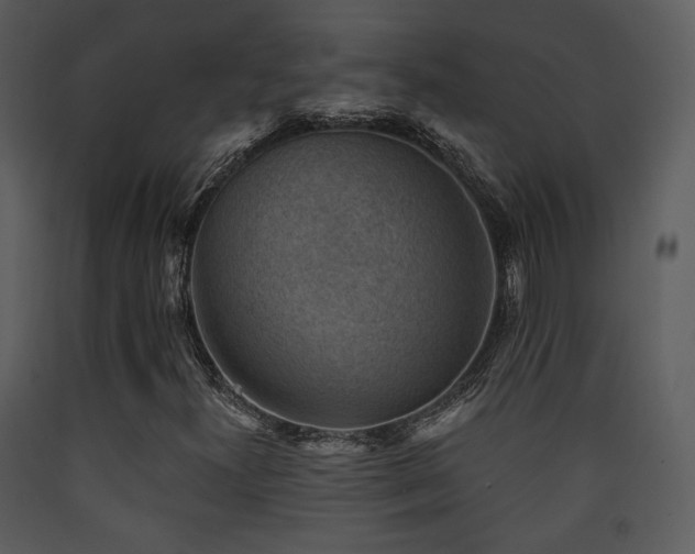 X0000090631300200707171438