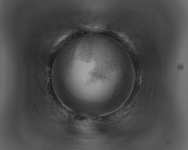 X0000090631301200707171438