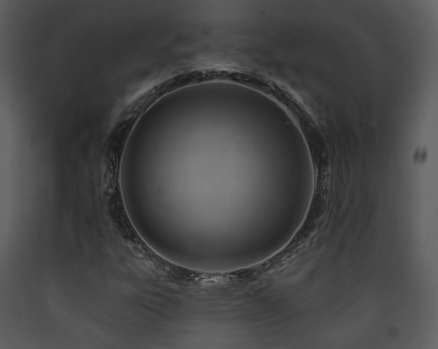 X0000090631303200707171438