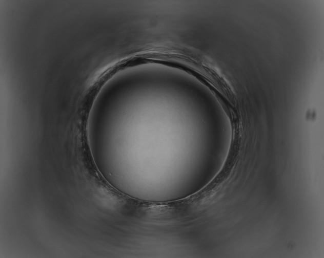 X0000090631304200707171438