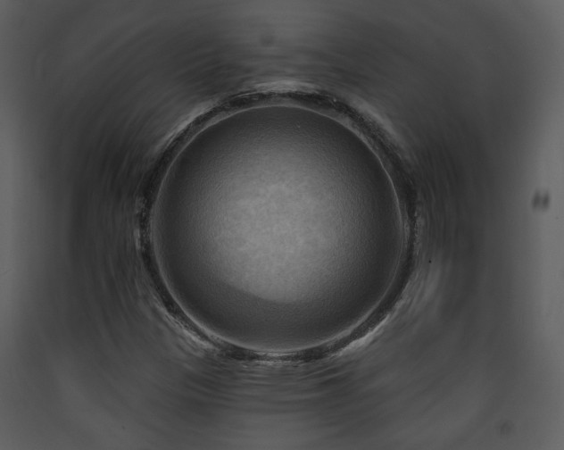 X0000090631305200707171438