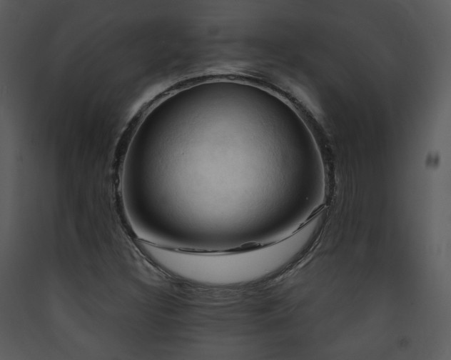X0000090631308200707171438