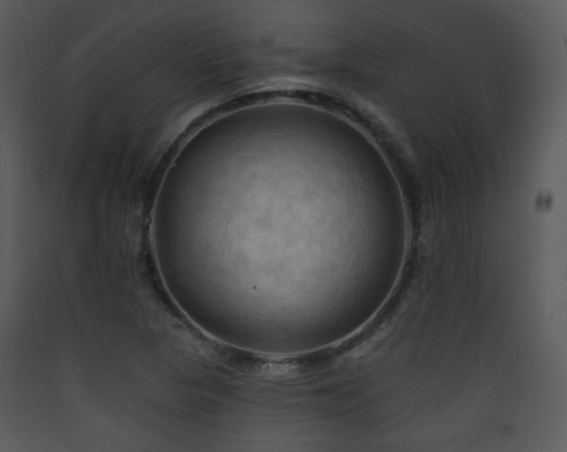 X0000090631313200707171439