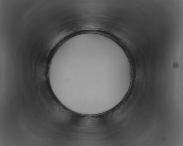 X0000090631314200707171439
