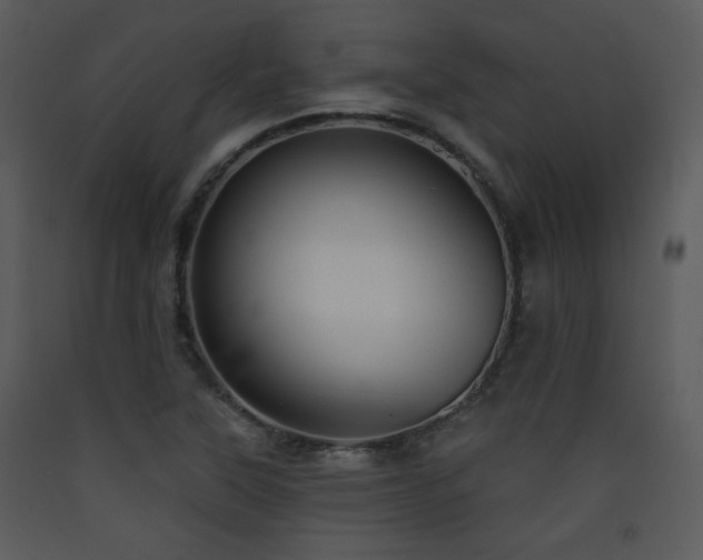 X0000090631315200707171439