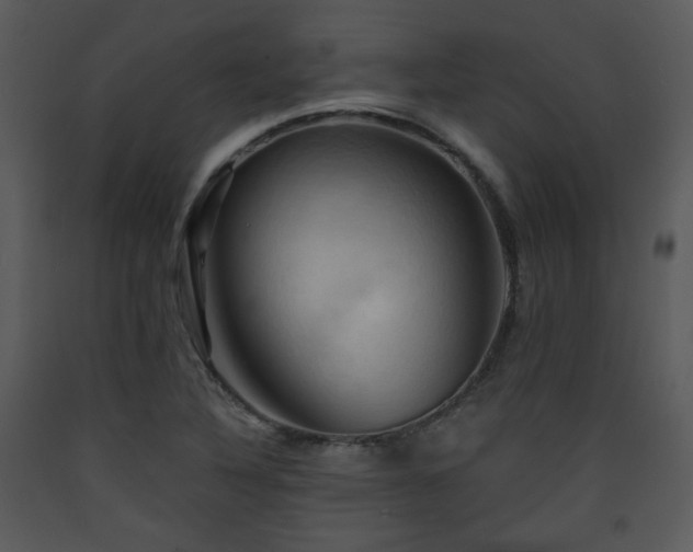 X0000090631316200707171439