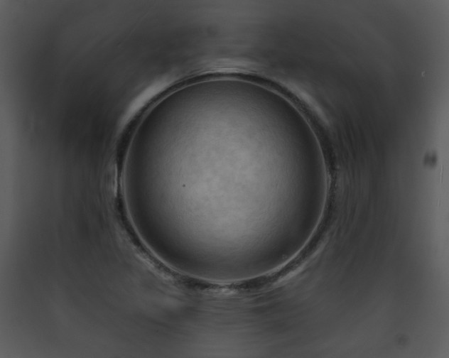 X0000090631317200707171439