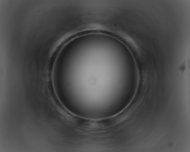 X0000090631318200707171439