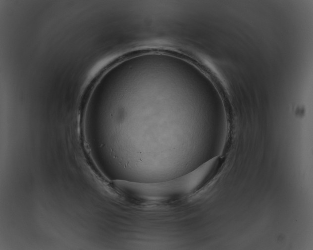 X0000090631320200707171439