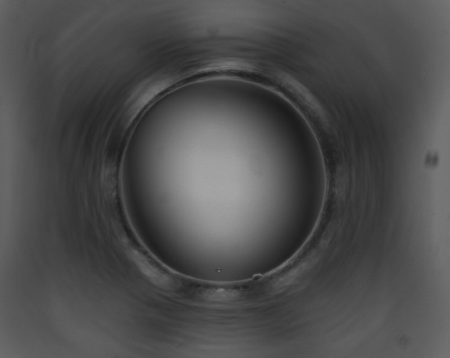 X0000090631321200707171439