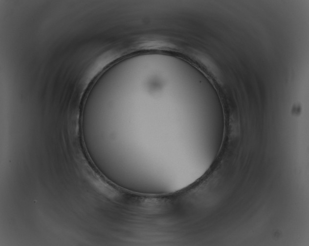X0000090631322200707171439