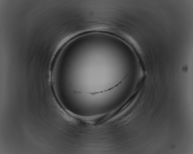 X0000090631324200707171439