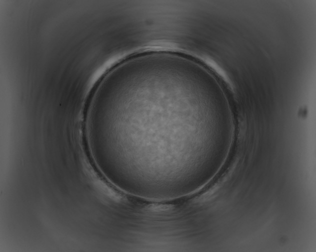 X0000090631325200707171439