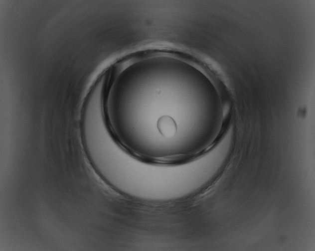 X0000090631326200707171439