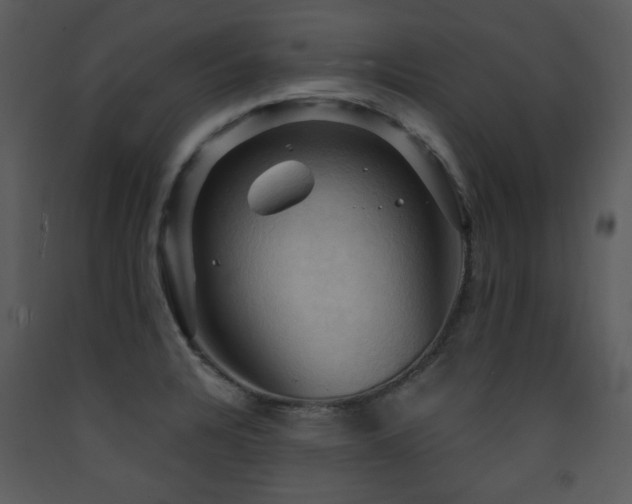 X0000090631328200707171439