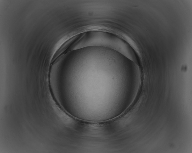 X0000090631330200707171439