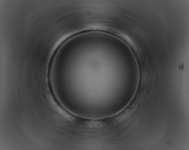 X0000090631331200707171439
