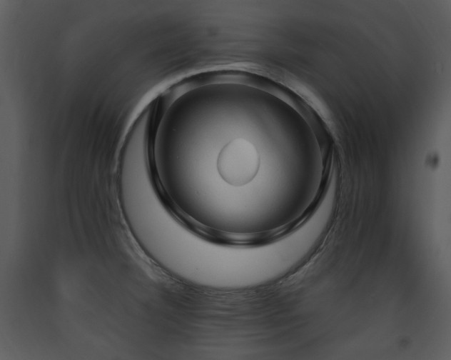 X0000090631332200707171439