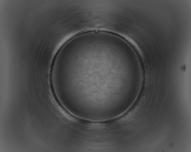 X0000090631333200707171439