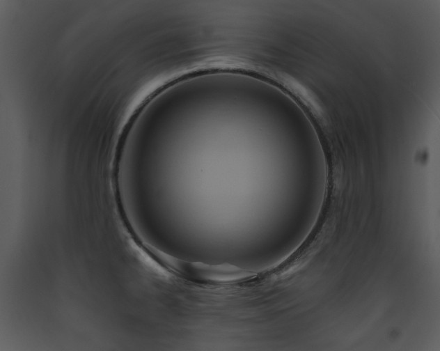 X0000090631334200707171439