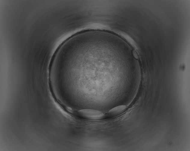 X0000090631335200707171439