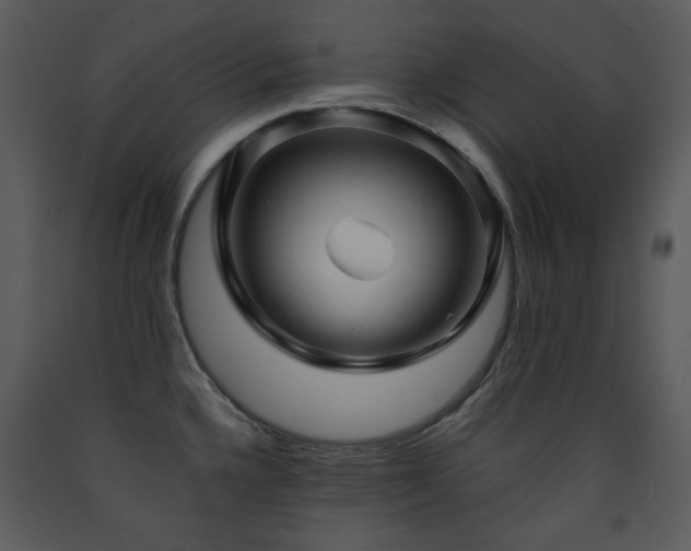 X0000090631336200707171439