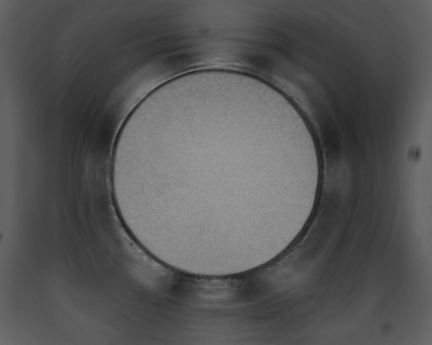 X0000090631338200707171439