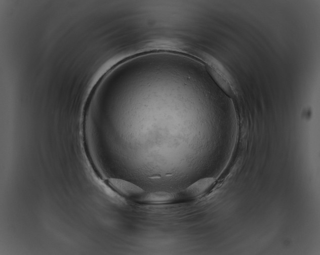 X0000090631339200707171439