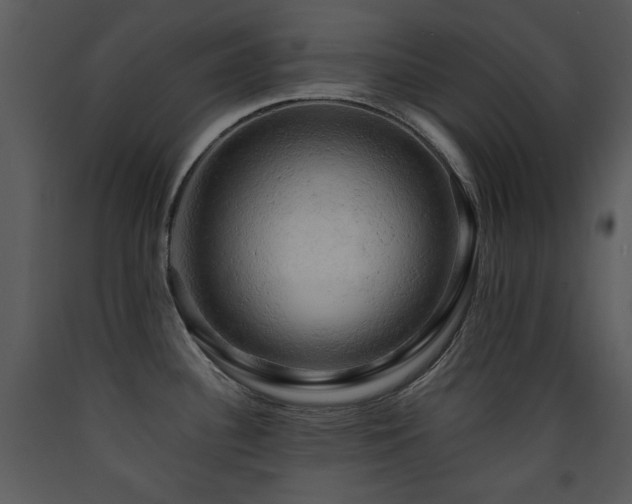 X0000090631340200707171439