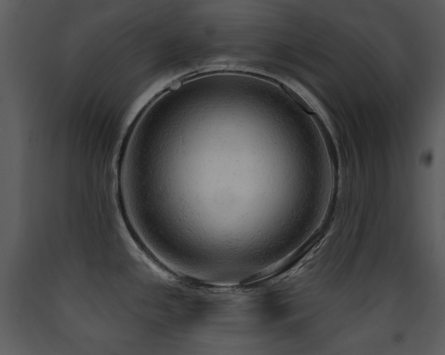 X0000090631341200707171439