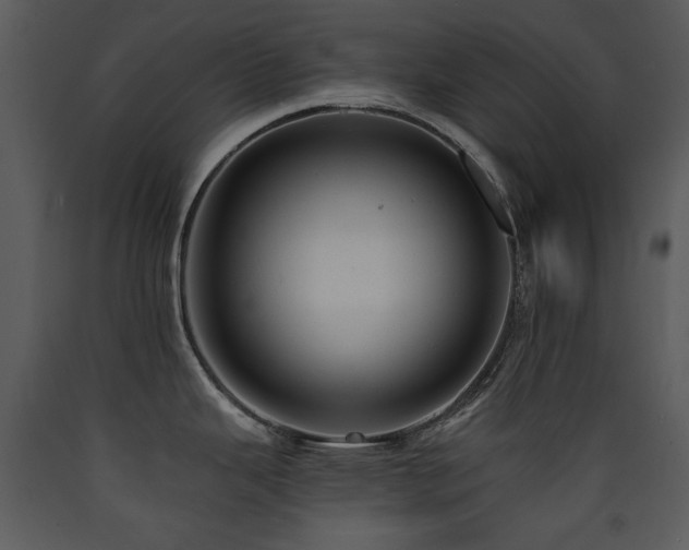 X0000090631343200707171439