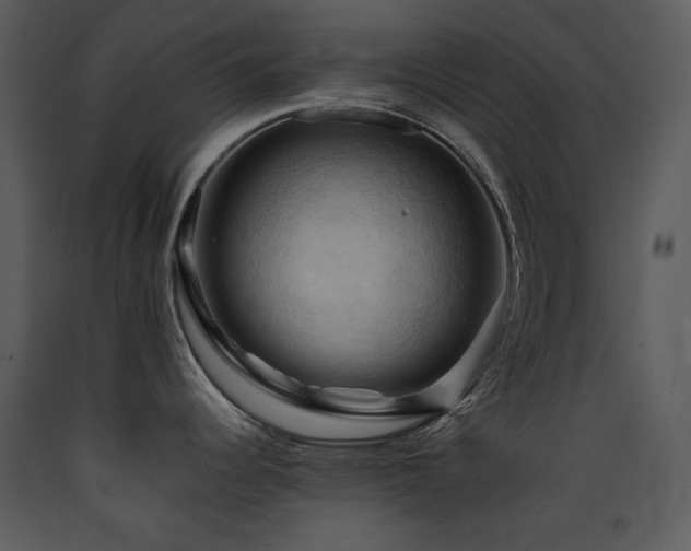 X0000090631344200707171439