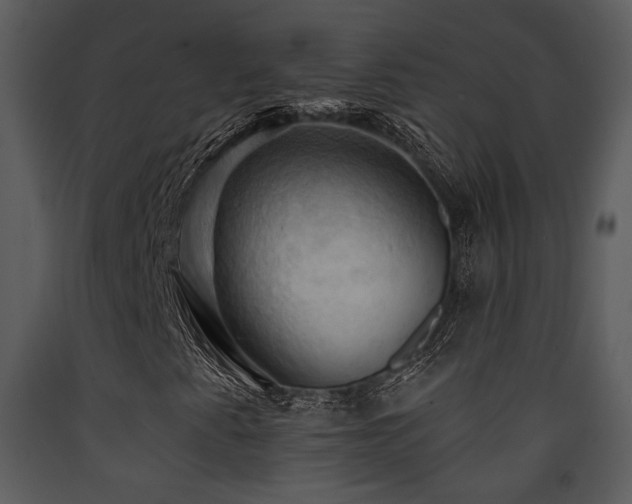 X0000090631345200707171438