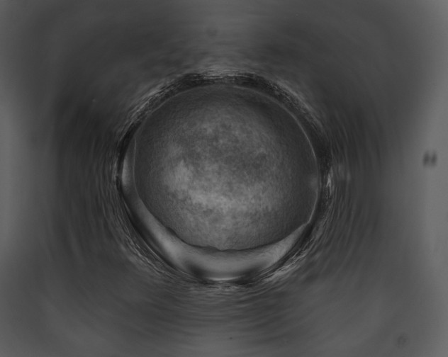 X0000090631348200707171438