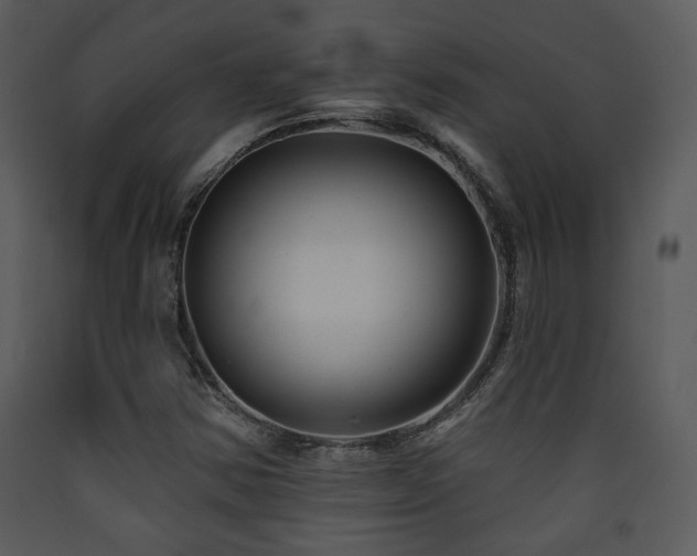 X0000090631354200707171438