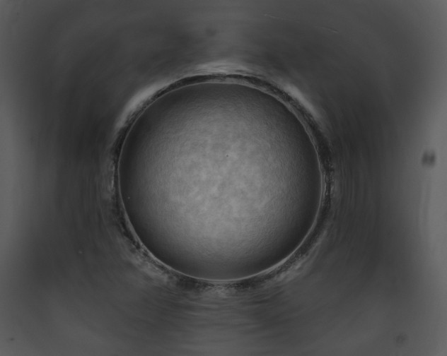 X0000090631358200707171438