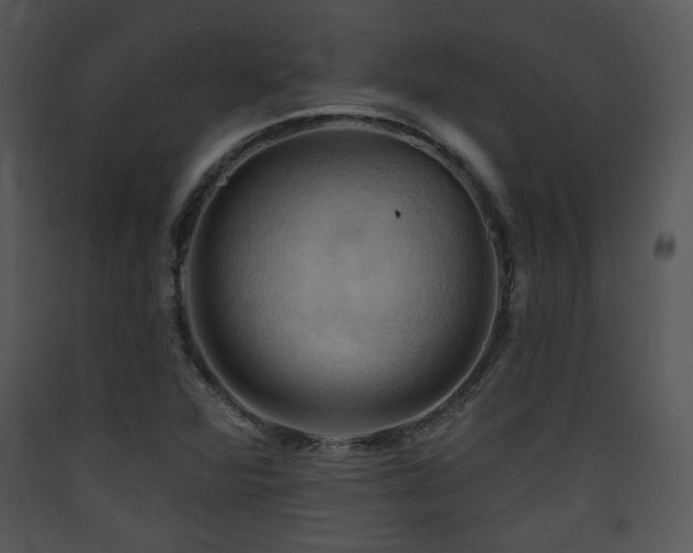 X0000090631360200707171438