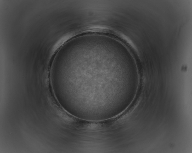 X0000090631362200707171438