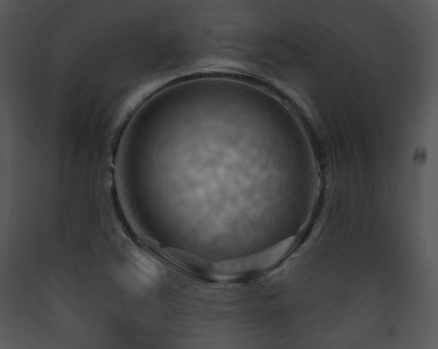 X0000090631363200707171438